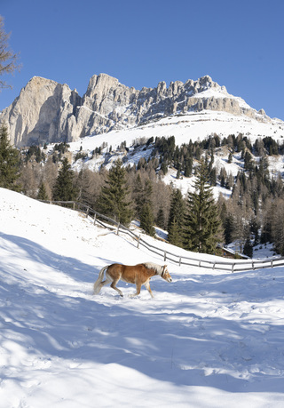 rosengarten, dolomites, italy